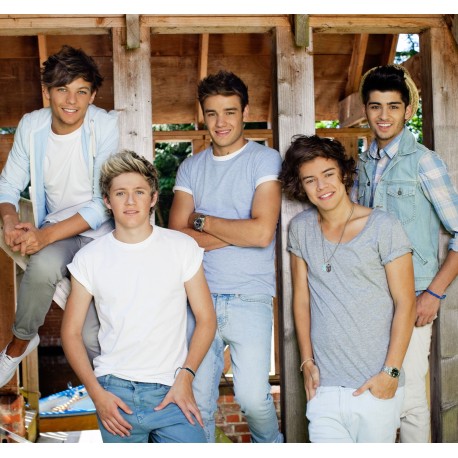 One Direction Barn Mural 