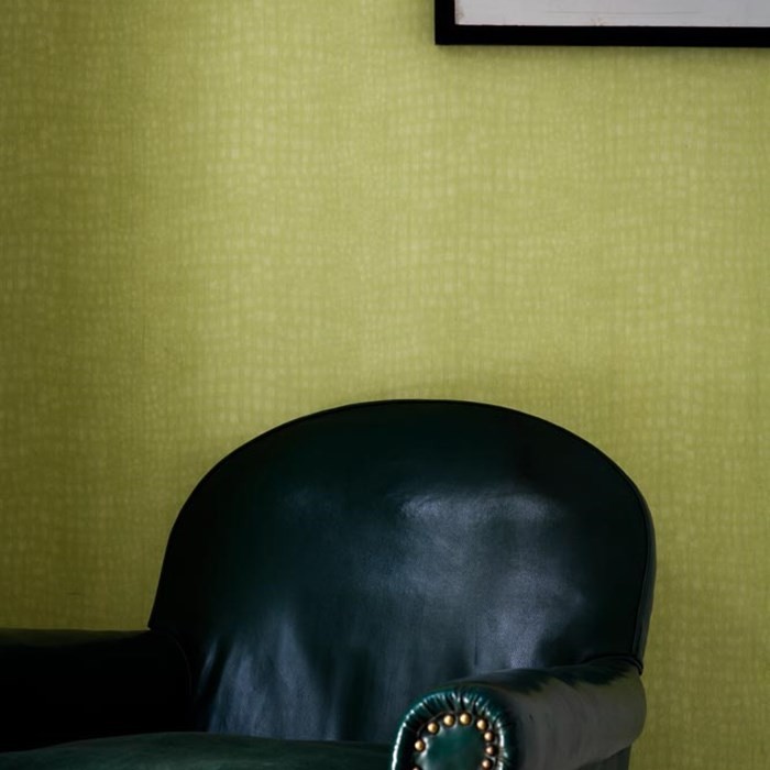 Crocodile Skin Wallpaper, Crocodile Green Wallpaper, Animal Skin