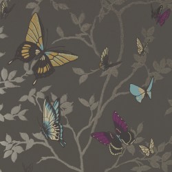 Seraphina Butterfly Charcoal Grey