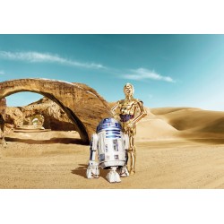 Star Wars Lost Droids Wall Mural