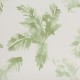 Palmeras Watercolour Fresh Green Wallpaper
