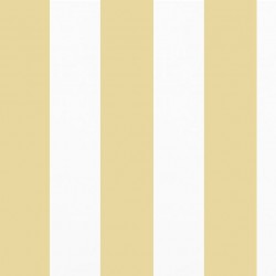 Eyebrow Champagne Gold Stripe