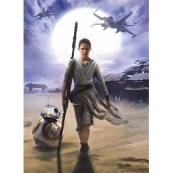 Star Wars Rey Wall Mural