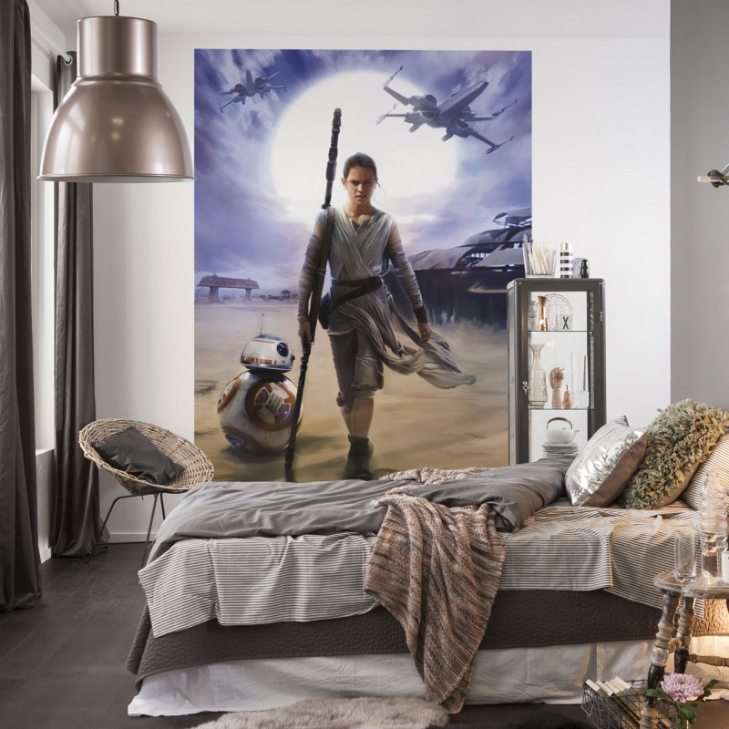 Star Wars Rey Wall Mural8705