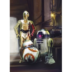 Star Wars Three Droids Mural