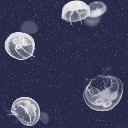 Jellyfish Blue Wallpaper