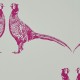 Pheasant Pink & Grey Wallpaper