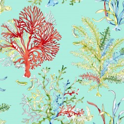 Coral Reef Turquoise Blue Wallpaper