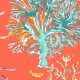 Coral Reef Turquoise Blue Wallpaper