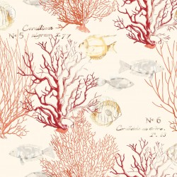 Coral Fish Orange Wallpaper