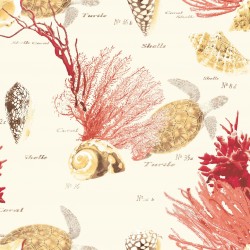 Coral Sea Life Coral Pink Wallpaper