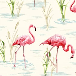 Flamingo Pink Wallpaper