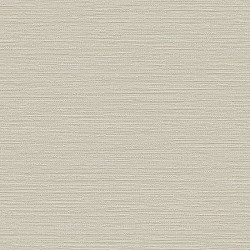 Beaux Arts 2 Taupe Horizontal Textured Plain 