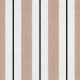 Race Stripe Beige