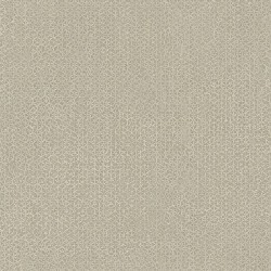 Pazu Semi-Plain Grey