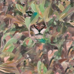 Hidden Puma Autumn