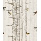 Birch Trees Grey