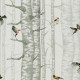 Birch Trees Grey