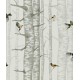 Birch Trees Grey