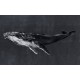 Acqua Blue Whale Vintage Wall Mural