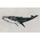 Black Whale Night Wall Mural