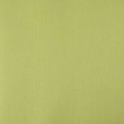 Chambray Denim Pistachio Green