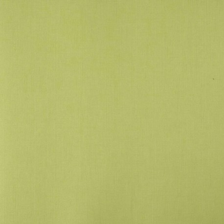 Chambray Denim Pistachio Wallpaper