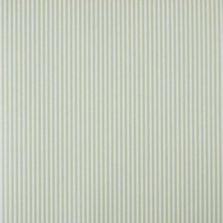 Pijama Verde Stripe Wallpaper