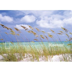 Ocean breeze