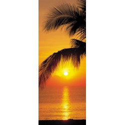 Palmy Beach Sunrise