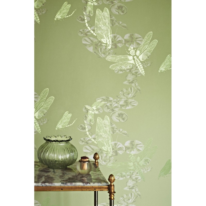 HD wallpaper green plants beside apple tray near partially opened window  home decor  Wallpaper Flare